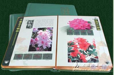 中國(guó)花卉植物郵票珍藏大系 文雅閣禮品網(wǎng)的正品銷(xiāo)售指南