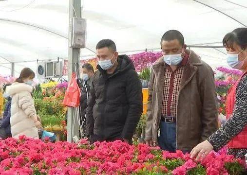 鮮花消費(fèi)熱潮涌動(dòng) 美團(tuán)外賣(mài)銷(xiāo)售激增與產(chǎn)業(yè)升級(jí)并行