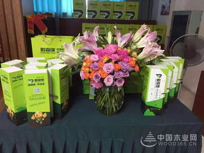 共謀發展，鵬森緣柳州客戶交談會盛大舉行，禮品花卉銷售迎春綻放